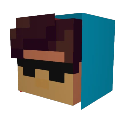 ayolol Minecraft avatar head, 3D render