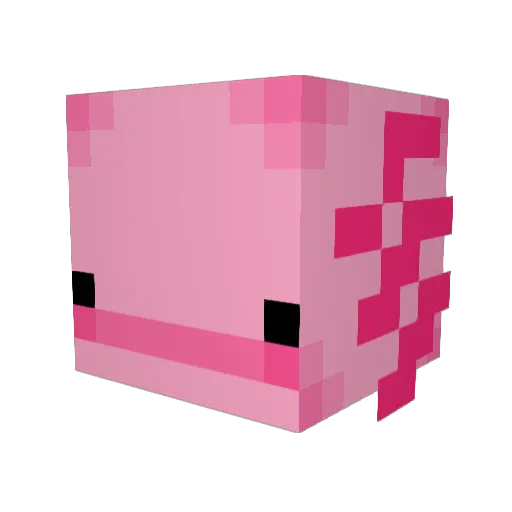 ayomeg Minecraft avatar head, 3D render