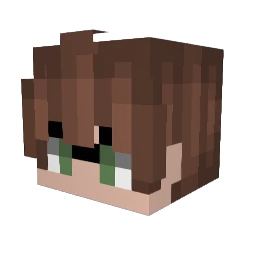 ayoojoey Minecraft avatar head, 3D render