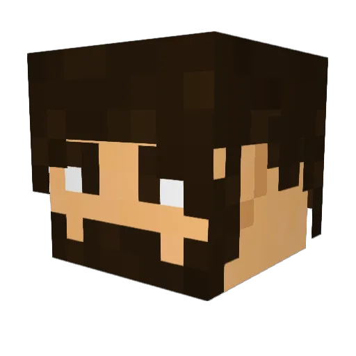 ayounguy Minecraft avatar head, 3D render
