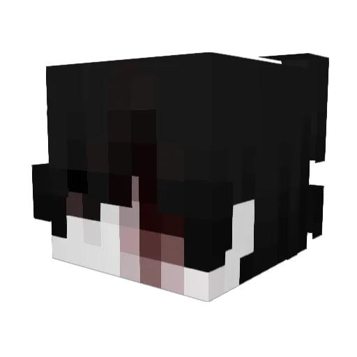 aypt Minecraft avatar head, 3D render