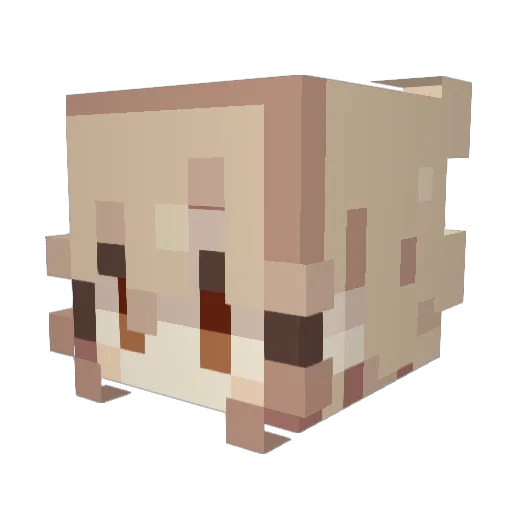 ayra114 Minecraft avatar head, 3D render