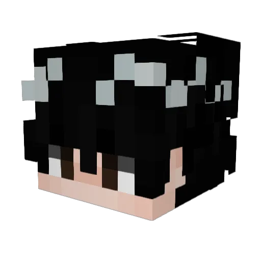 ayrtn Minecraft avatar head, 3D render