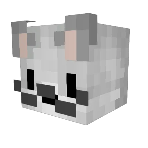 ayrus888 Minecraft avatar head, 3D render
