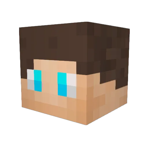 aysiee Minecraft avatar head, 3D render