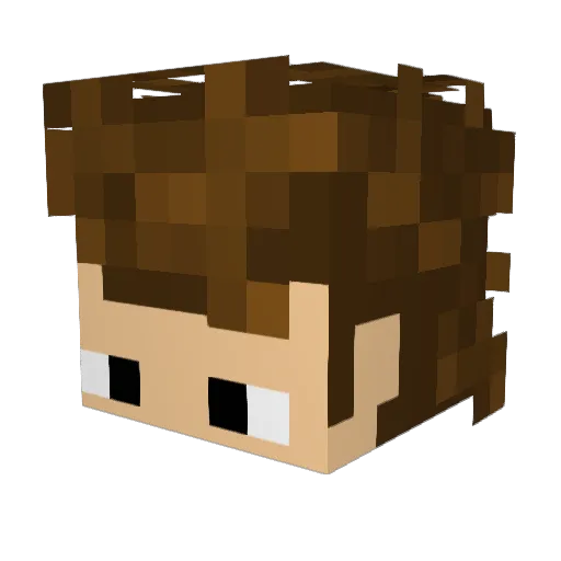 aytan11 Minecraft avatar head, 3D render