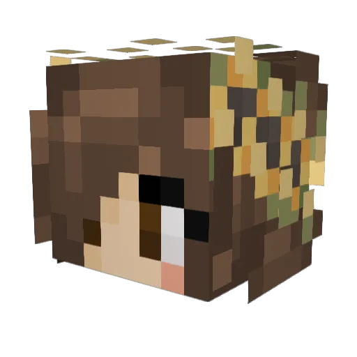 aytomicc Minecraft avatar head, 3D render