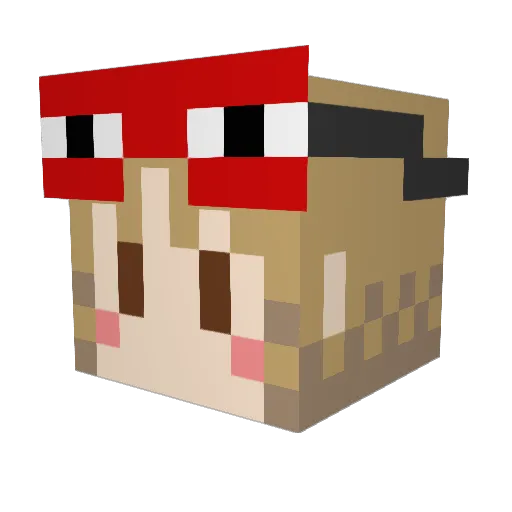 ayurook Minecraft avatar head, 3D render