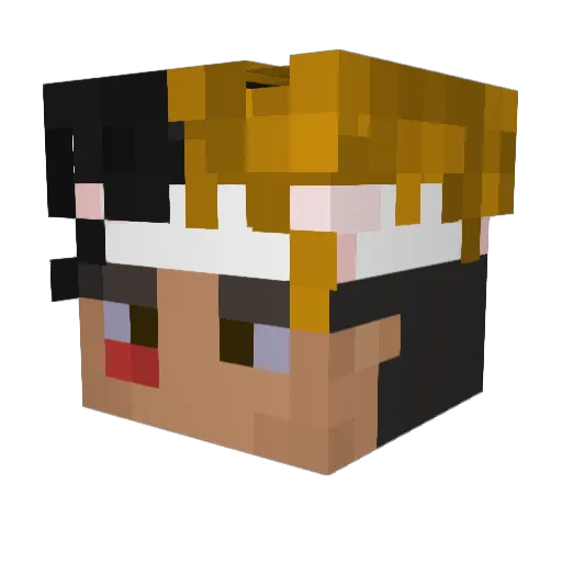 ayvm3 Minecraft avatar head, 3D render