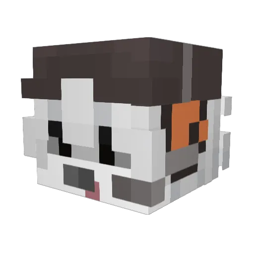 ayxier Minecraft avatar head, 3D render