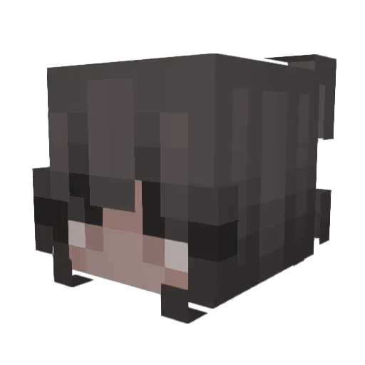 ayyhri Minecraft avatar head, 3D render