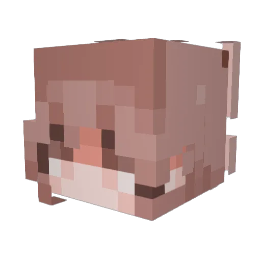 ayylxen Minecraft avatar head, 3D render