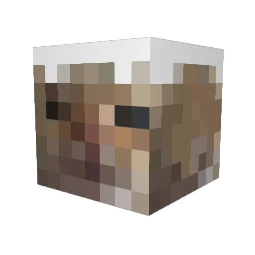 azn_anton Minecraft avatar head, 3D render