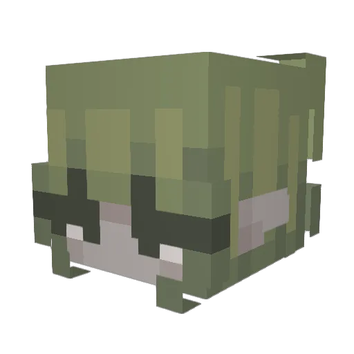 azornka Minecraft avatar head, 3D render