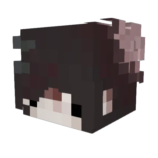 aztekucha Minecraft avatar head, 3D render