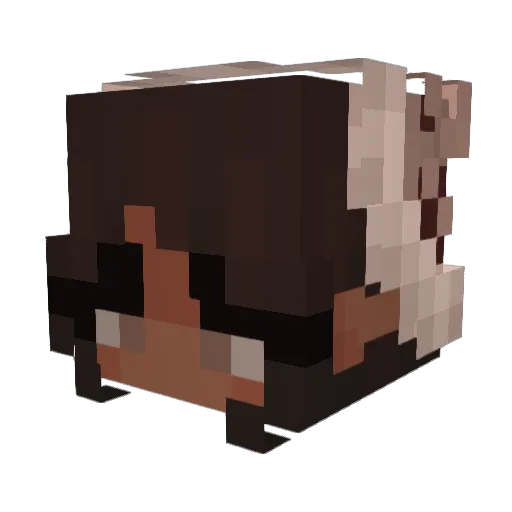 azucarpapi Minecraft avatar head, 3D render