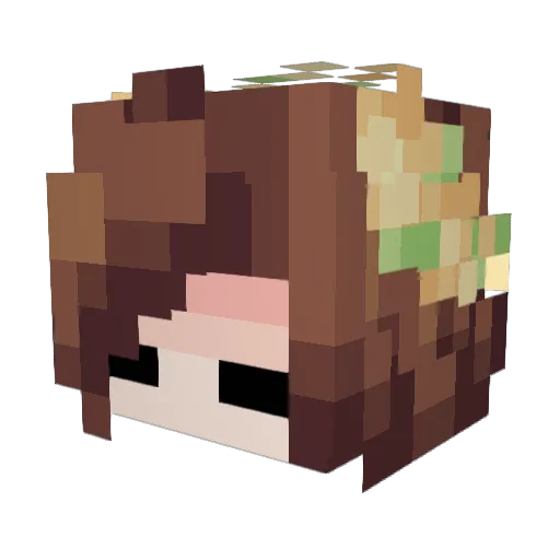 azula505 Minecraft avatar head, 3D render