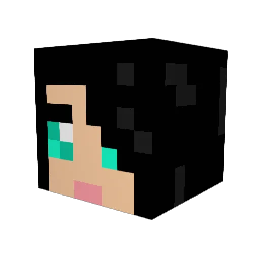 b001ka Minecraft avatar head, 3D render