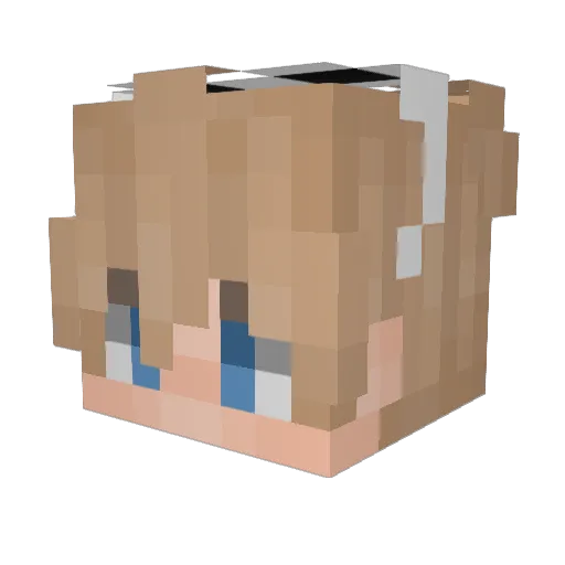 b00bylicker420 Minecraft avatar head, 3D render