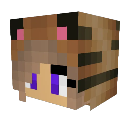 b0bj3 Minecraft avatar head, 3D render