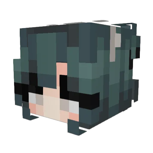 b0died Minecraft avatar head, 3D render