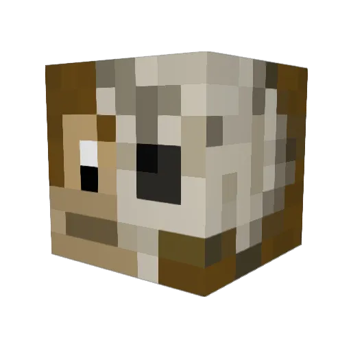 b0lhuis Minecraft avatar head, 3D render