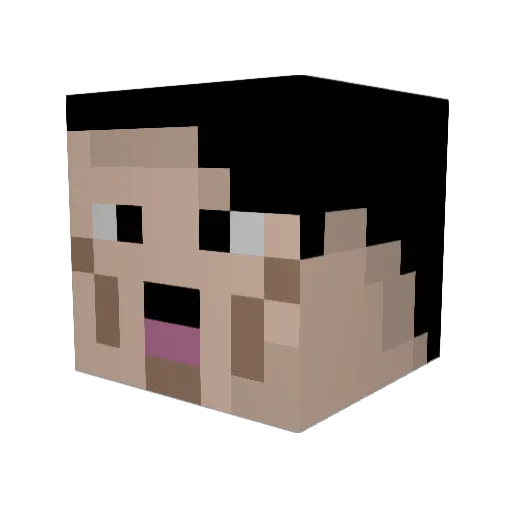 b0mmba_ Minecraft avatar head, 3D render