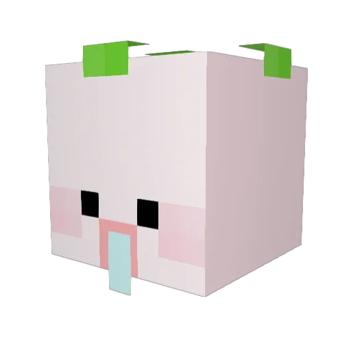 b0ngchun Minecraft avatar head, 3D render