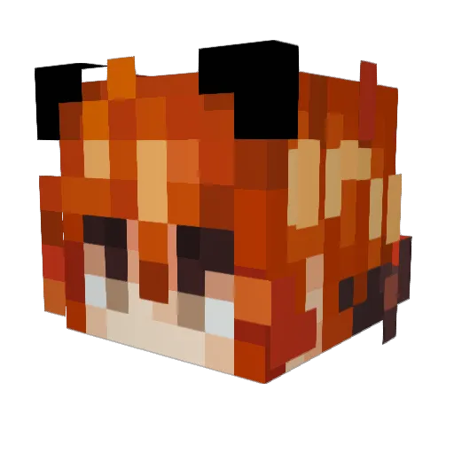 b0rp0 Minecraft avatar head, 3D render