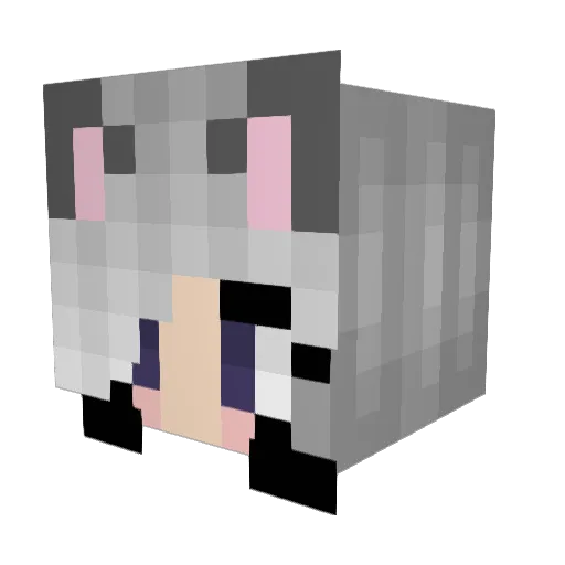 b0xktty Minecraft avatar head, 3D render