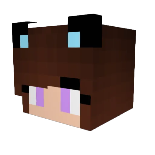 b1ackcat_13 Minecraft avatar head, 3D render