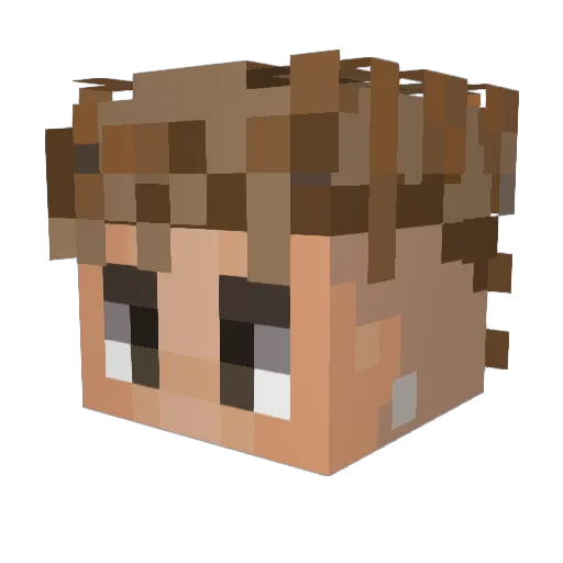 b1gtom81 Minecraft avatar head, 3D render