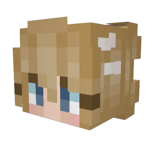 b1lly_609 Minecraft avatar head, 3D render