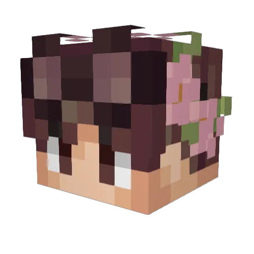b1uej8y Minecraft avatar head, 3D render