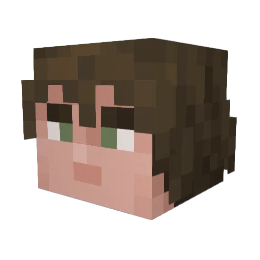 b1zarsh Minecraft avatar head, 3D render