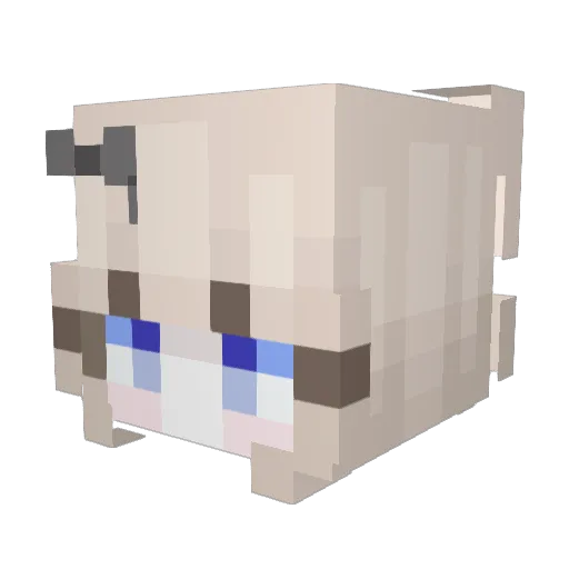 b24ac_ Minecraft avatar head, 3D render