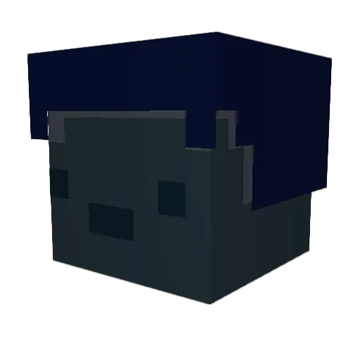 b3ar22 Minecraft avatar head, 3D render