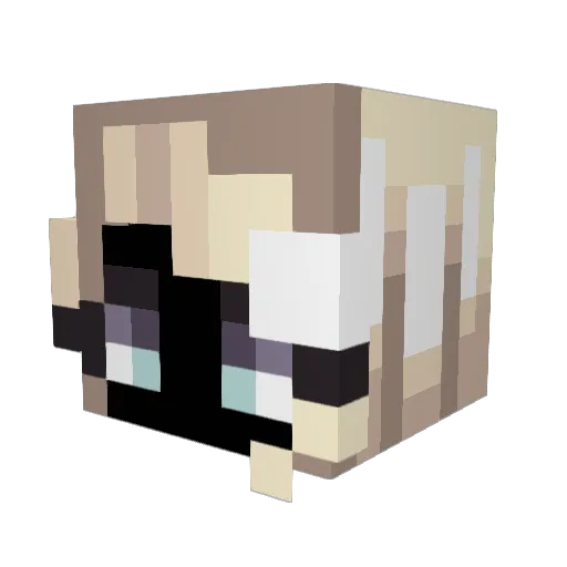 b3llaB0nes Minecraft avatar head, 3D render
