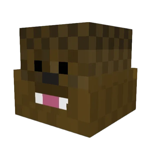 b3nny200 Minecraft avatar head, 3D render