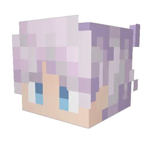 b3rnardo5ilva Minecraft avatar head, 3D render