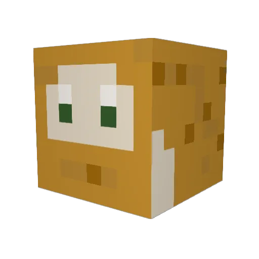 b4_Pakon Minecraft avatar head, 3D render