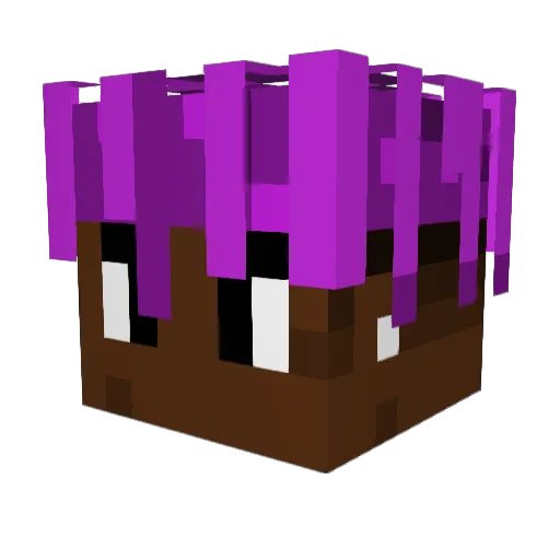 b4by_pluto Minecraft avatar head, 3D render