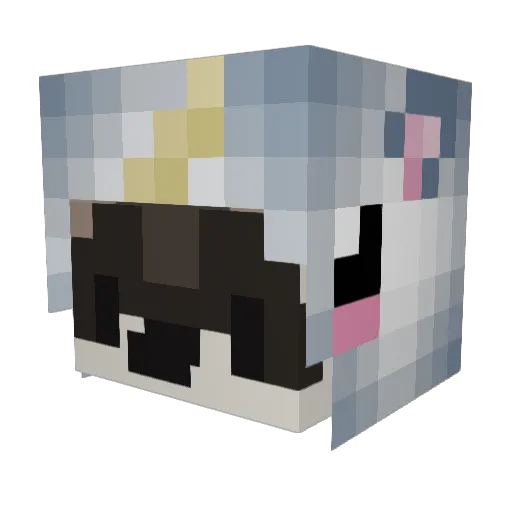 b4nqu Minecraft avatar head, 3D render