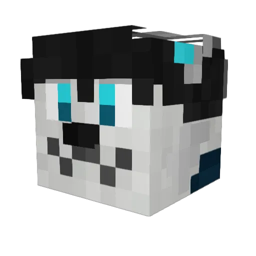 b4o4q Minecraft avatar head, 3D render