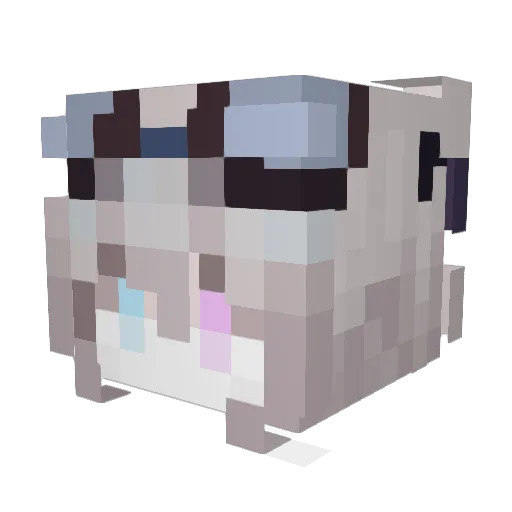 b612NotFound Minecraft avatar head, 3D render