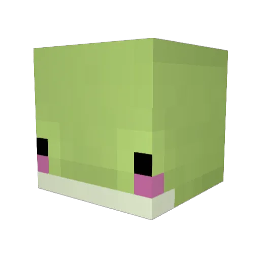 b7lankett Minecraft avatar head, 3D render
