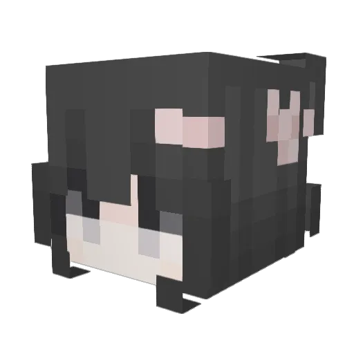 b7yns Minecraft avatar head, 3D render