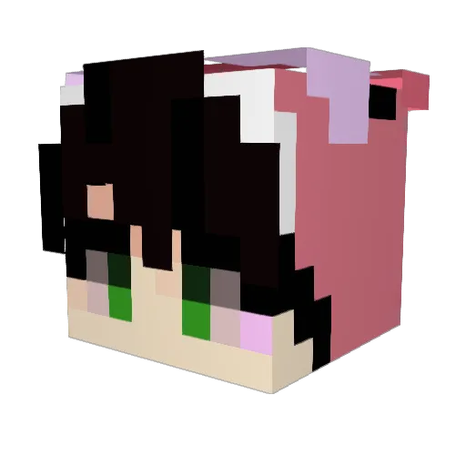 bBeleb Minecraft avatar head, 3D render