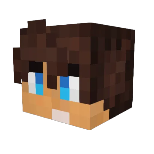 bBoy_cricri Minecraft avatar head, 3D render