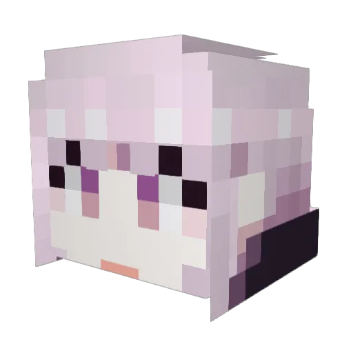 bHoodies Minecraft avatar head, 3D render
